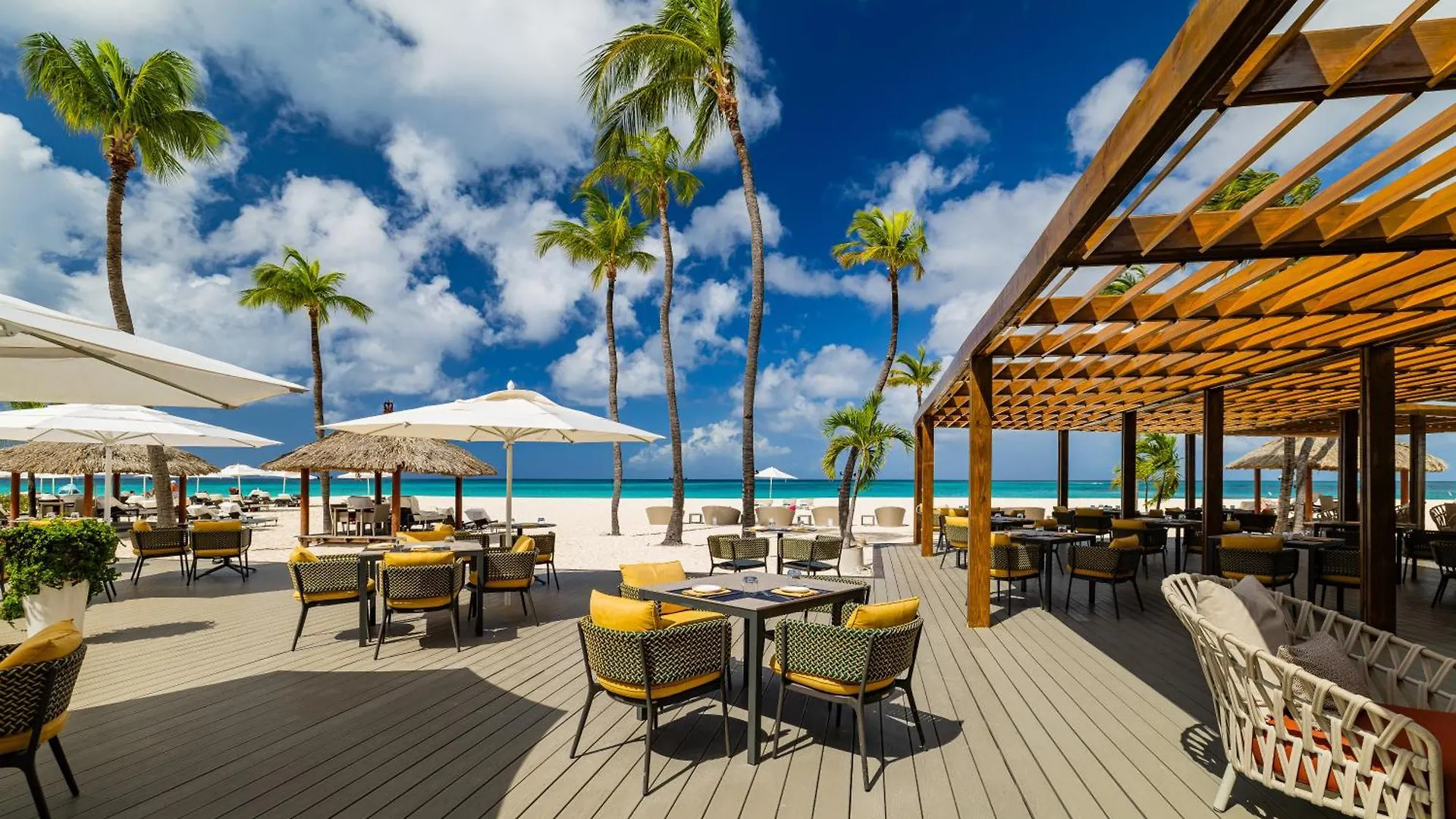Bucuti & Tara Boutique Beach Resort - Adult Only Palm Beach