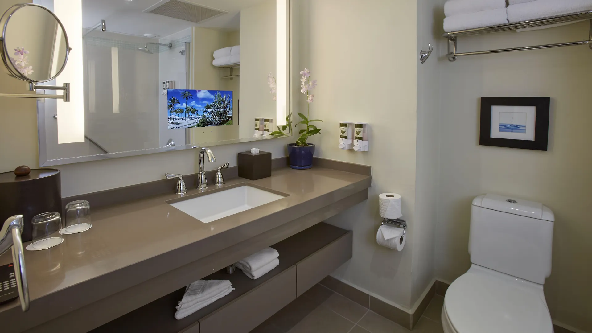 Bucuti & Tara Boutique Beach Resort - Adult Only Palm Beach