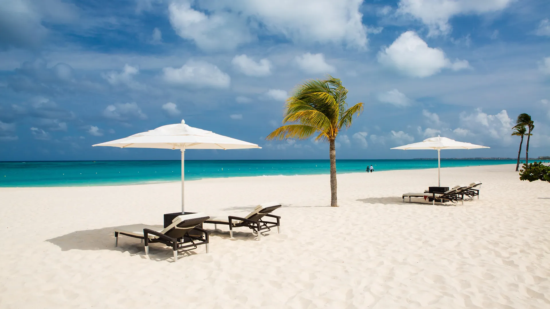 Bucuti & Tara Boutique Beach Resort - Adult Only Palm Beach Aruba