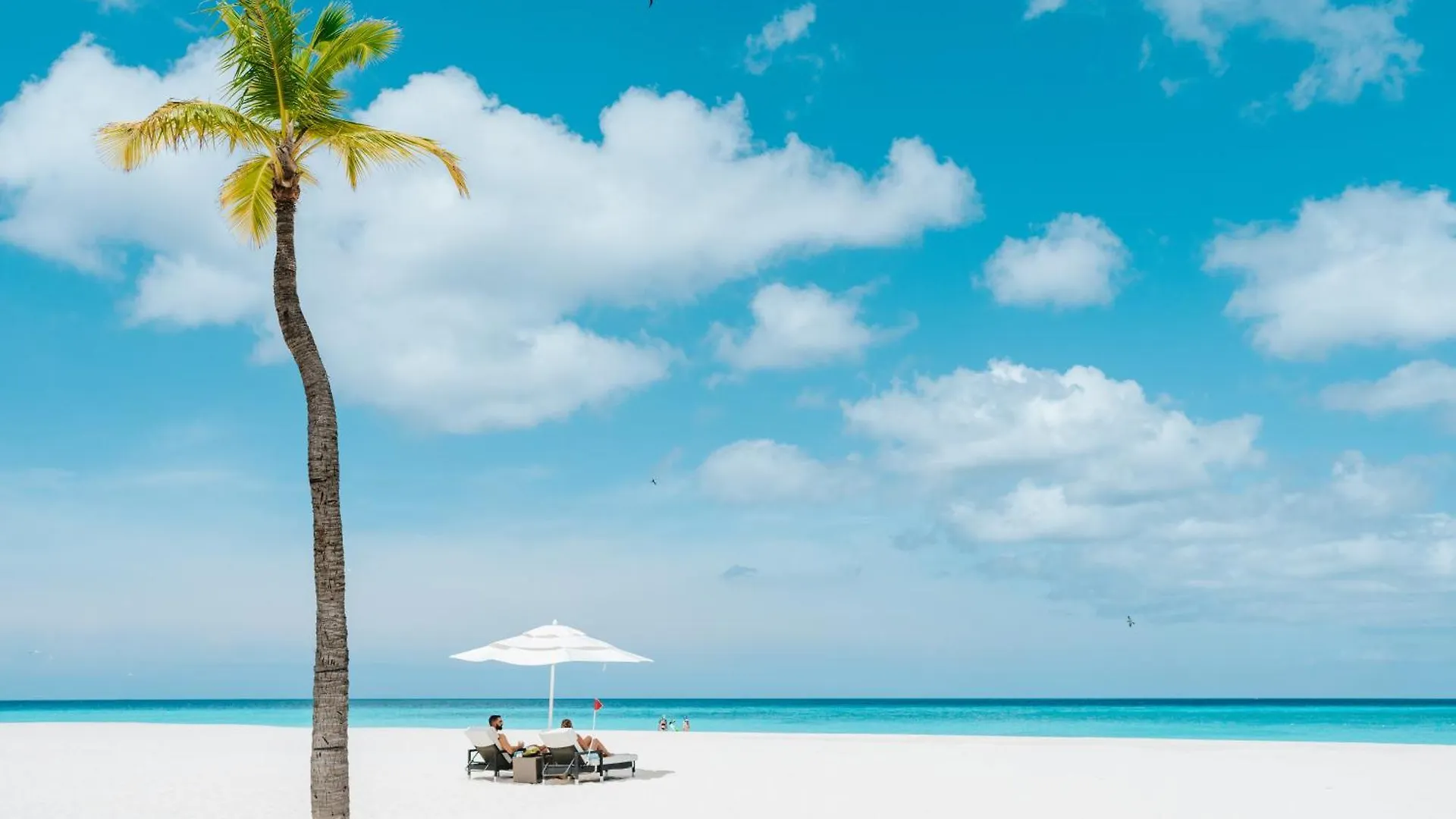 Bucuti & Tara Boutique Beach Resort - Adult Only Palm Beach