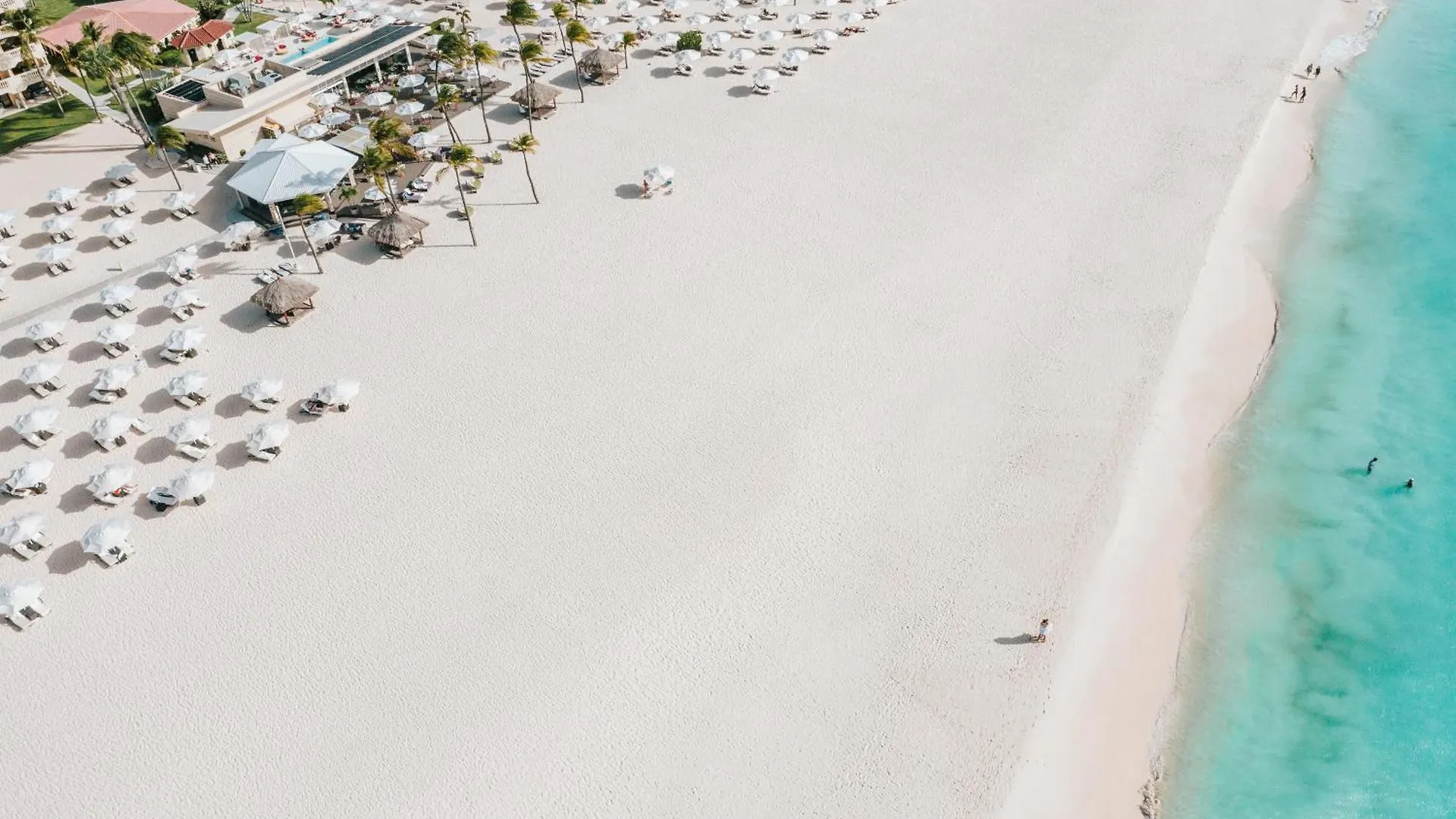 Bucuti & Tara Boutique Beach Resort - Adult Only Palm Beach