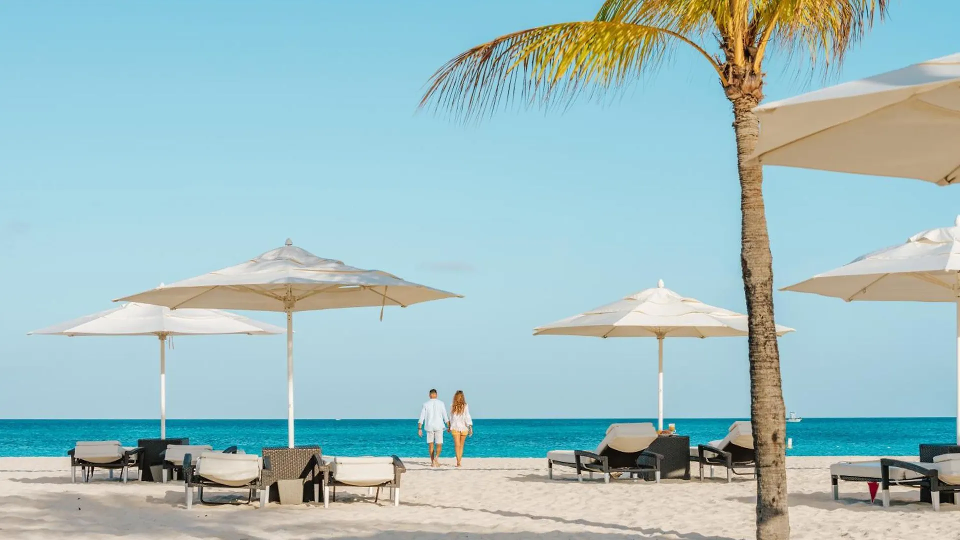 Bucuti & Tara Boutique Beach Resort - Adult Only Palm Beach