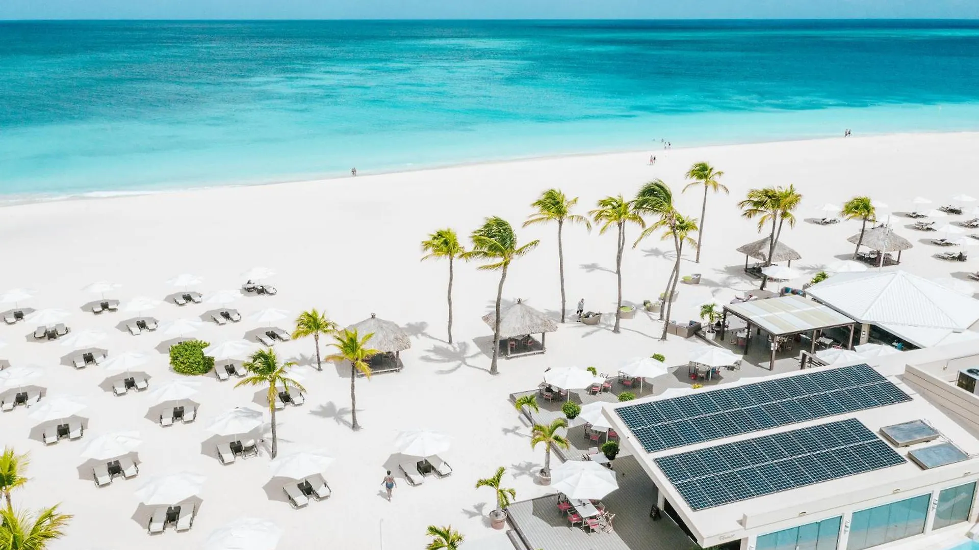 Bucuti & Tara Boutique Beach Resort - Adult Only Palm Beach