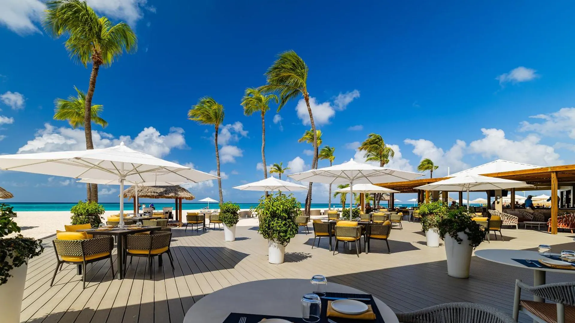Bucuti & Tara Boutique Beach Resort - Adult Only Palm Beach
