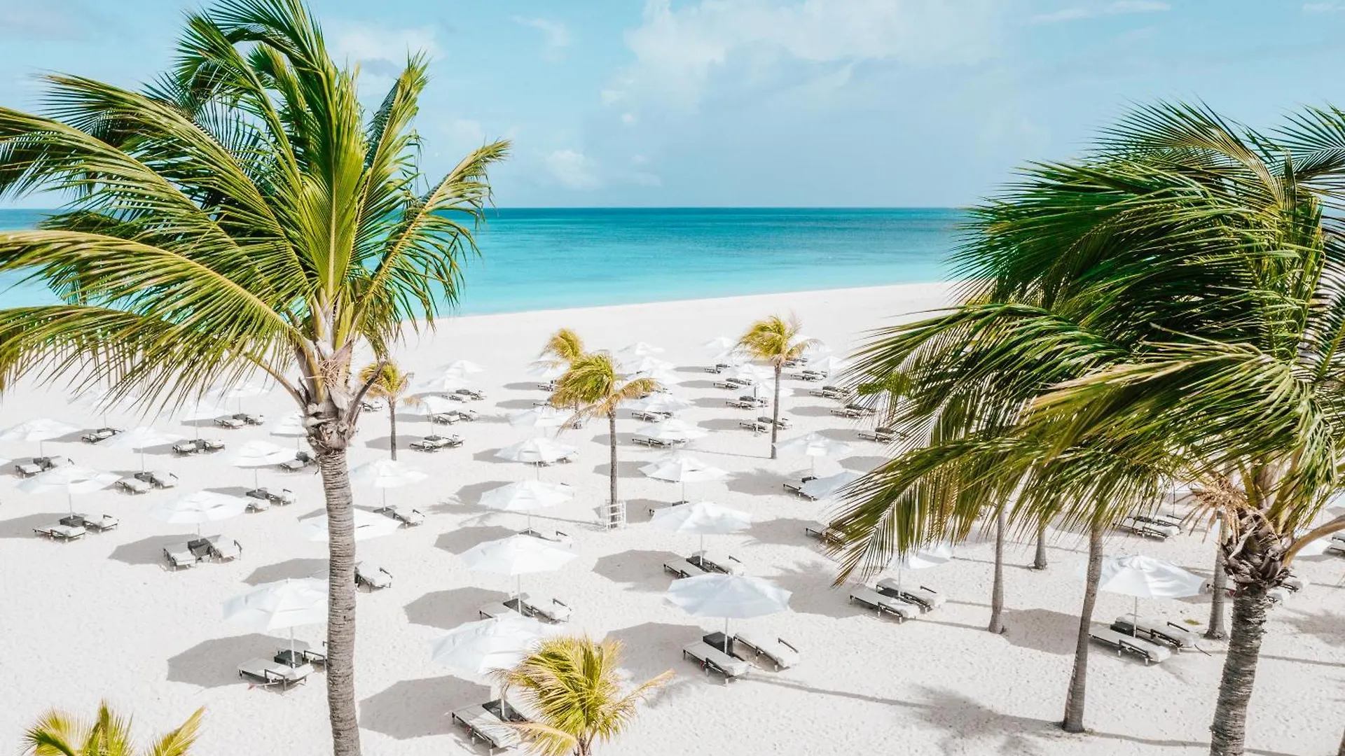 Bucuti & Tara Boutique Beach Resort - Adult Only Palm Beach 4*,
