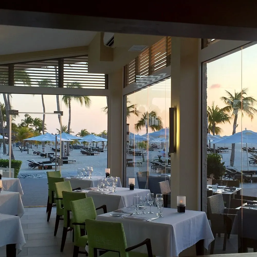 Bucuti & Tara Boutique Beach Resort - Adult Only Palm Beach